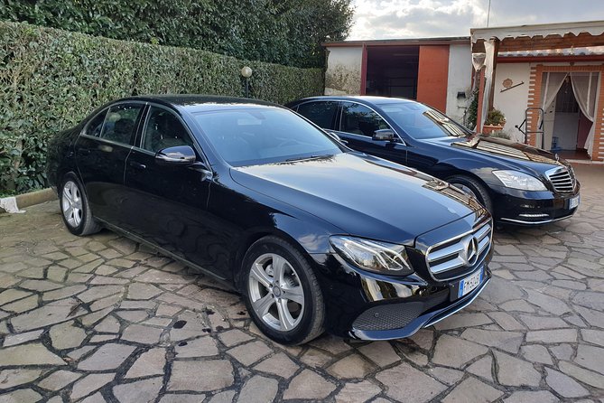 Rome Shore Excursion: Pre-Cruise Private Sightseeing Tour Including Civitavecchia Port Drop-Off - The Sum Up