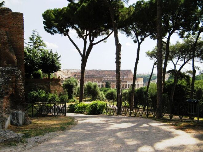 Rome: Skip-the-Line Colosseum, Forum and Palatine Hill Tour - Inclusions