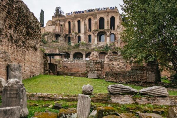 Rome: Skip the Line Colosseum, Forum, and Palatine Hill Tour - Meeting Point and Starting Time
