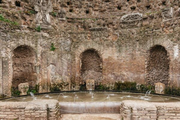 Rome: Skip the Line Colosseum, Forum, and Palatine Hill Tour - Important Tips and Recommendations