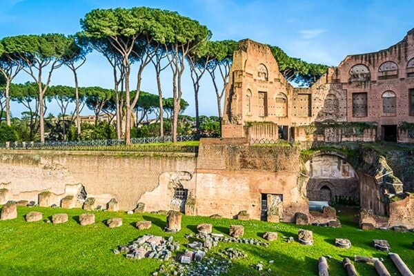 Rome: Skip-the-Line Tour to Colosseum, Forum, Palatine Hill - Other Details