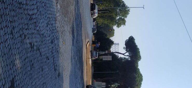 Rome: Street Food Tour in the Heart of Rome - Good To Know