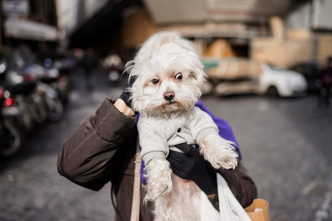 Rome Street Photography Lesson - Tour Highlights