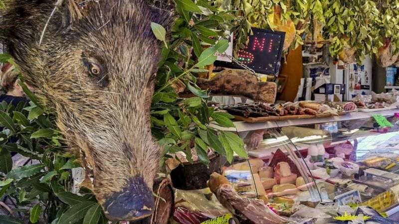 Rome: Testaccio Food Tour with Breakfast and Tastings - Good To Know
