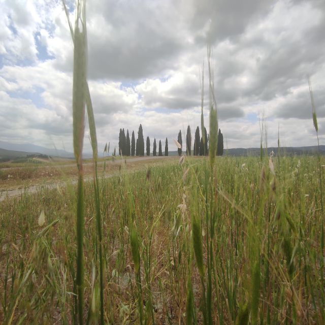 Rome to Tuscany Private Transfer and Tour - Tour Details