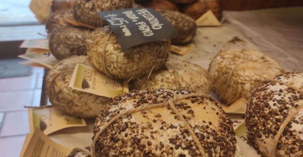 Rome to Tuscany Private Transfer and Tour - Customer Reviews