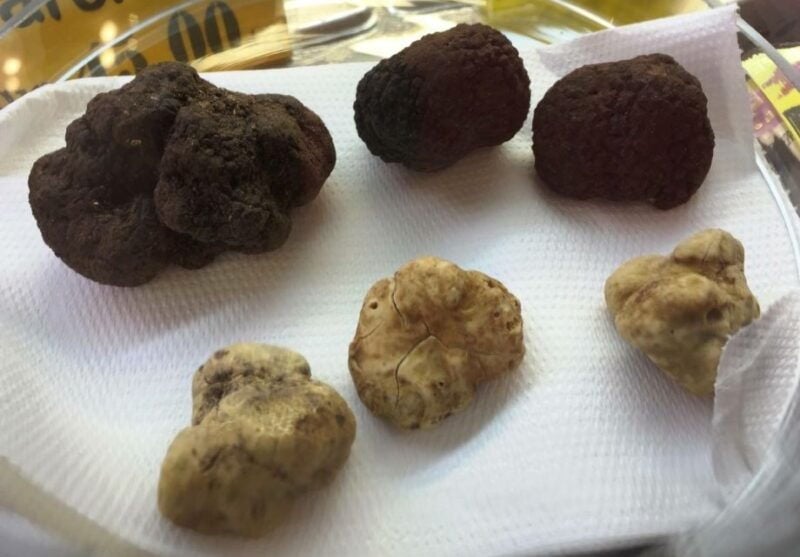 Rome: Trastevere Guided Food and Wine Tour with 20+ Tastings - Good To Know