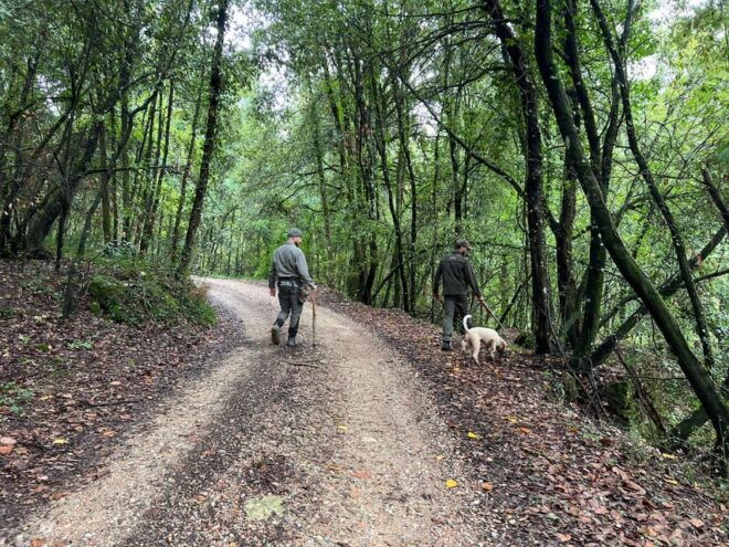 Rome: Truffle Hunting Experience - Scenic Landscapes of Rome