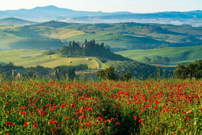 Rome: Tuscany & Montepulciano Day Trip With Lunch & Wines - Exploring Montepulciano