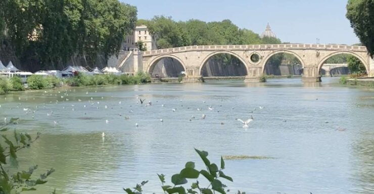 Rome: Urban Hike Along Romes River of Kings – the Tiber - Tour Details