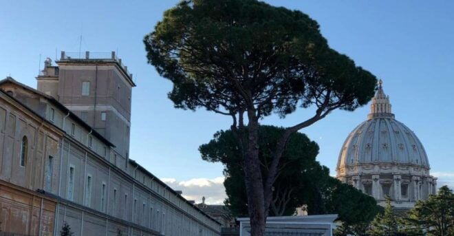 Rome: Vatican First Access: Private Tour - Highlights