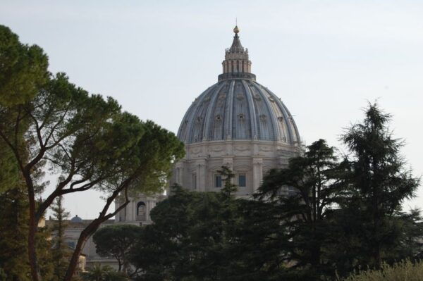Rome: Vatican Museums and Sistine Chapel Tour With Basilica - The Sum Up