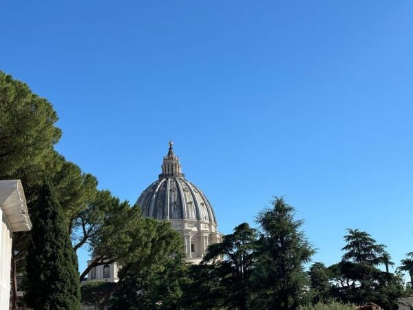 Rome: Vatican Museums and St. Peters Basilica Tour - Customer Feedback and Ratings