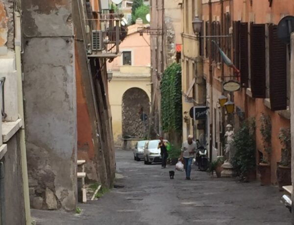 Rome: Villa DEste & Tivoli Tour With Skip-The-Line Entry - Booking Details