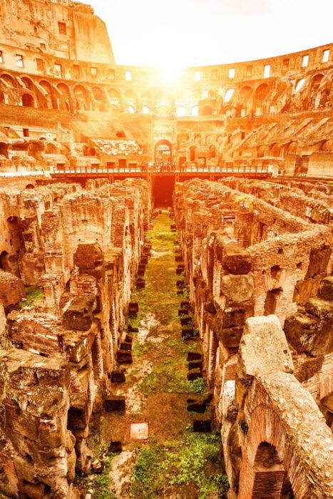 Rome: VIP Colosseum, Roman Forum, Palatine Hill Experience - Meeting Point and What to Bring