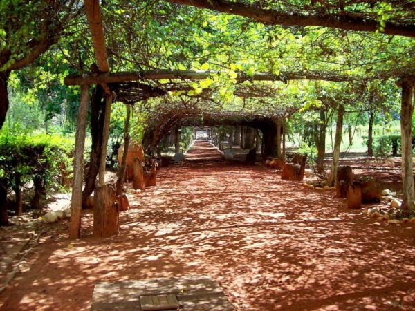 Rome: Wine Tasting and Pizza Making Class at a Vineyard - Frequently Asked Questions