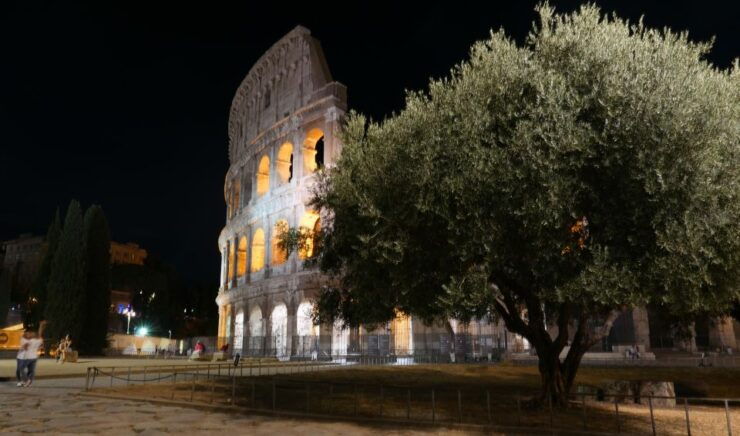 Rome: Wonders of Ancient Rome at Dusk - Booking Details