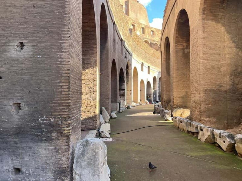 Rome:Colosseum Arena Floor Guided Tour Up To 6 People - A Closer Look at the Tour Experience
