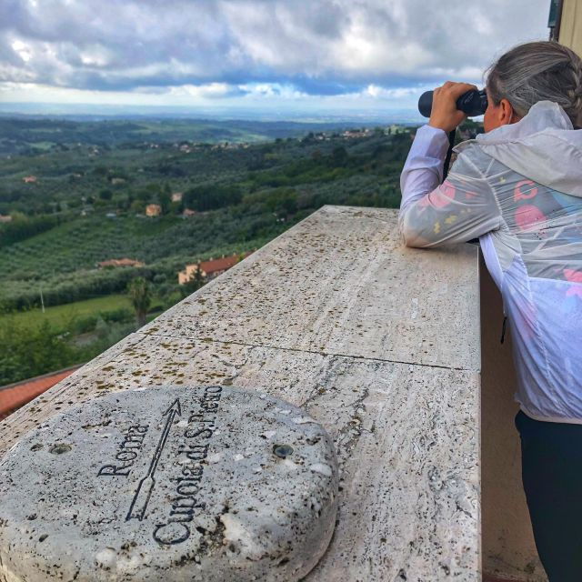 Rome's Countryside: Olive Oil Museum and Tasting in E-Bike - Activity Details