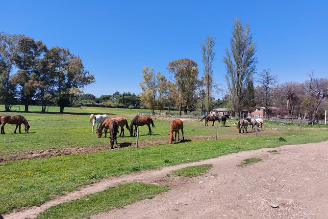 Romes Ultimate Bike Tour - Cancellation Policy