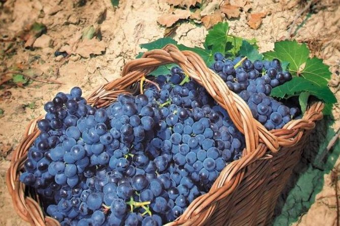 Romes Vineyard Symphony: Countryside Winetasting Experience - Directions