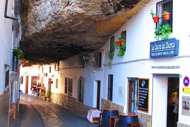 Ronda and Setenil De Las Bodegas Tour From Malaga - Negative Experiences Shared by Reviewers