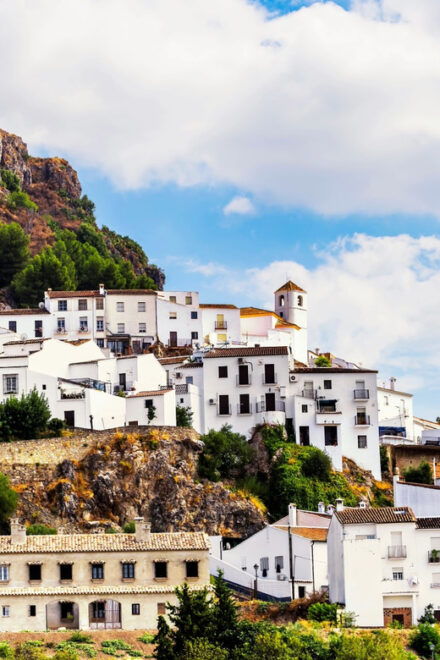 Ronda and White Villages: Small Group Day Trip Experience - Highlights of the Trip