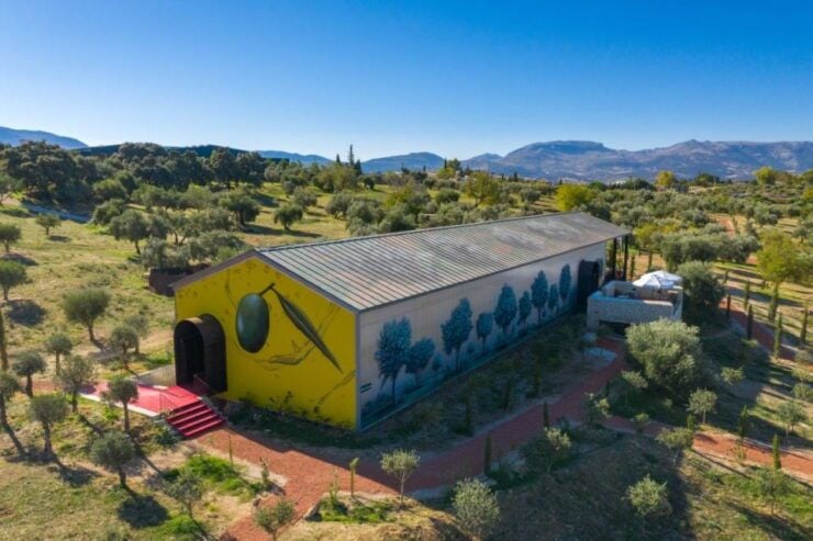 Ronda: Organic Olive Oil Tour With Tasting - Experience Highlights