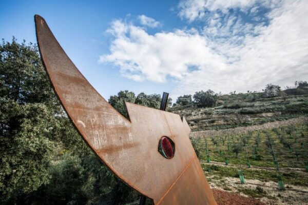 Ronda: Organic Olive Oil Tour With Tasting - The Sum Up