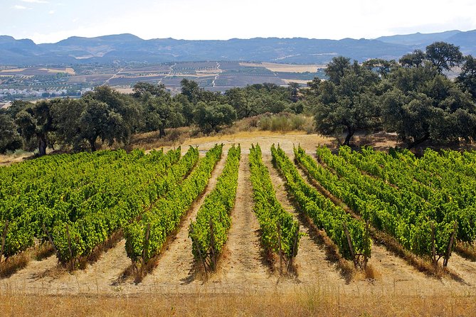Ronda Private Full Day Wine Tour With Tapas - Directions