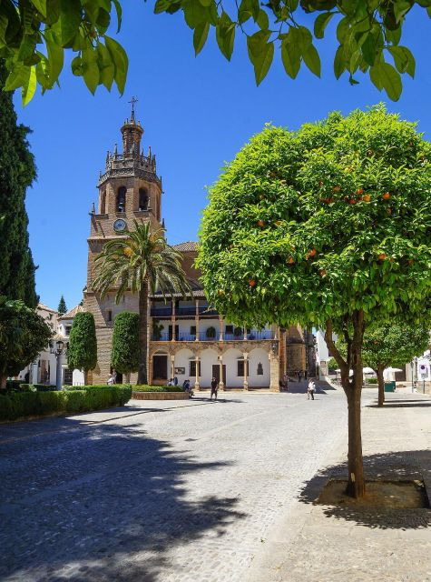 Ronda - Private Historic Walking Tour - Tour Experience