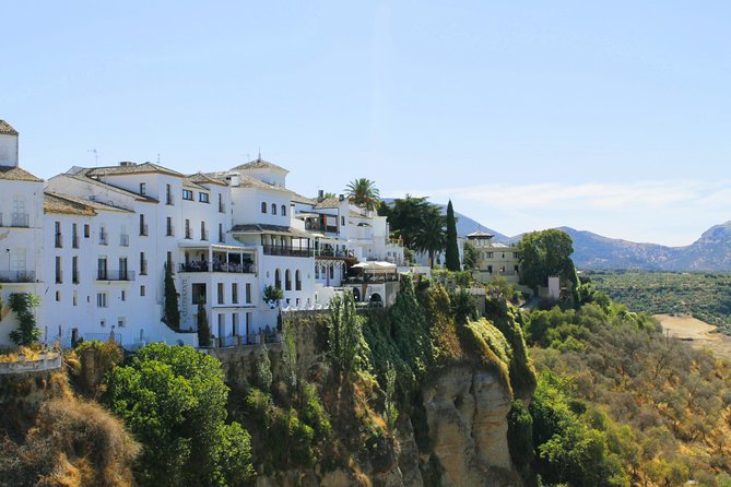 Ronda Private Tour From Seville - Traveler Experiences