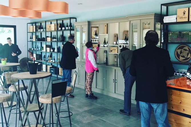 Ronda Private Wine Tour and Tapas Free Time in Ronda - Luxury Transportation to Andalusian Countryside