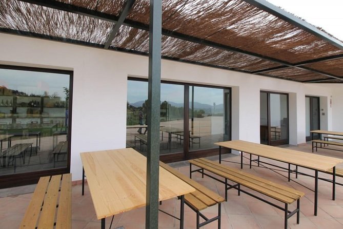 Ronda Private Wine Tour and Tapas Free Time in Ronda - Professional Guide Accompaniment