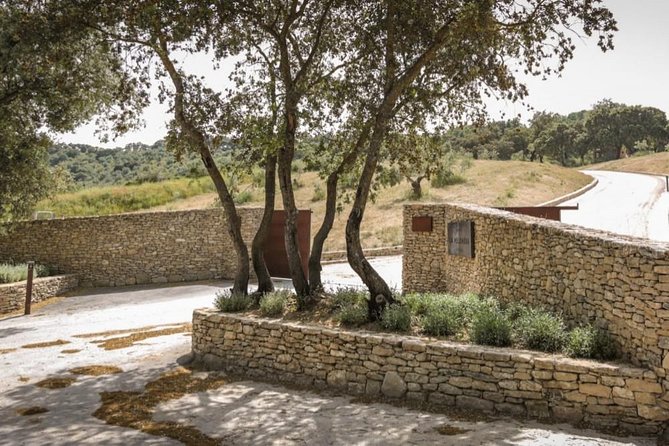 Ronda Private Wine Tour and Tapas Free Time in Ronda - Access to Traveler Photos