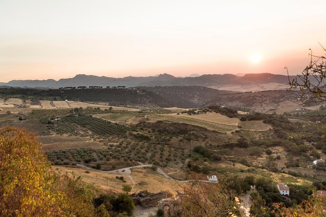 Ronda Village Guided Tour From Costa Del Sol - Cancellation Policy