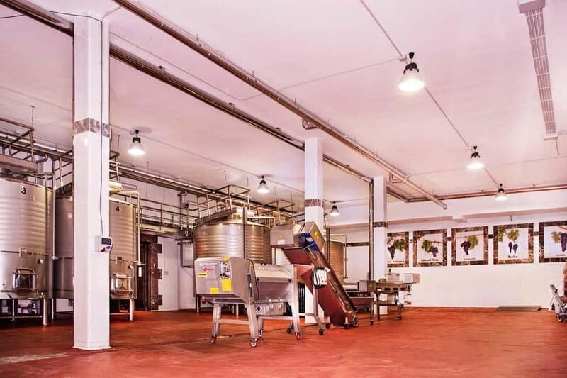 Ronda: Winery Tour with Wine Tasting and Tapas - Practical details and tips