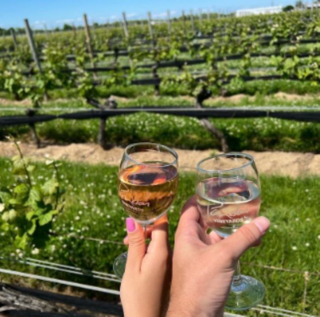 Ronkonkoma: North Fork Wineries Tour With Tastings and Lunch - Full Description