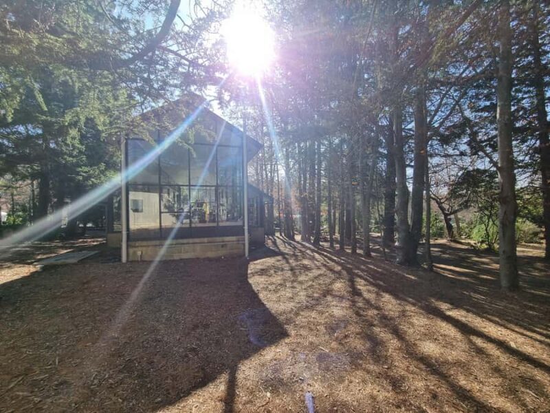 Roos, Blues & Views - Blue Mountains Day Tour w Lunch - Good To Know