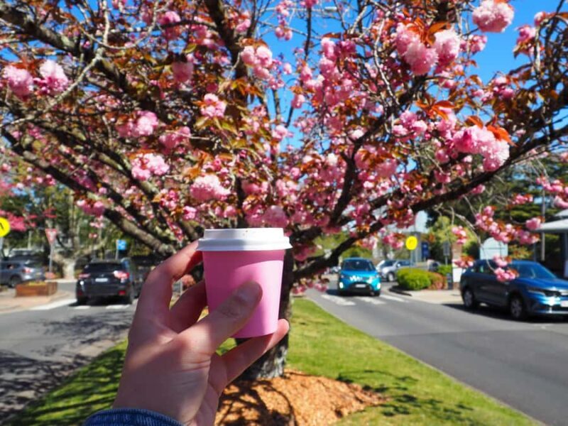 Roos, Blues & Views - Blue Mountains Day Tour w Lunch - Practical Tips for the Tour