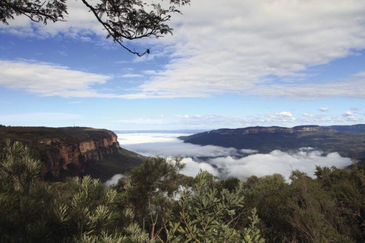 Roos, Blues & Views - Experience Highlights