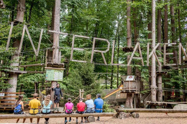 Rope Park Interlaken: Climbing Adventure With Entry Ticket - Ticket Details
