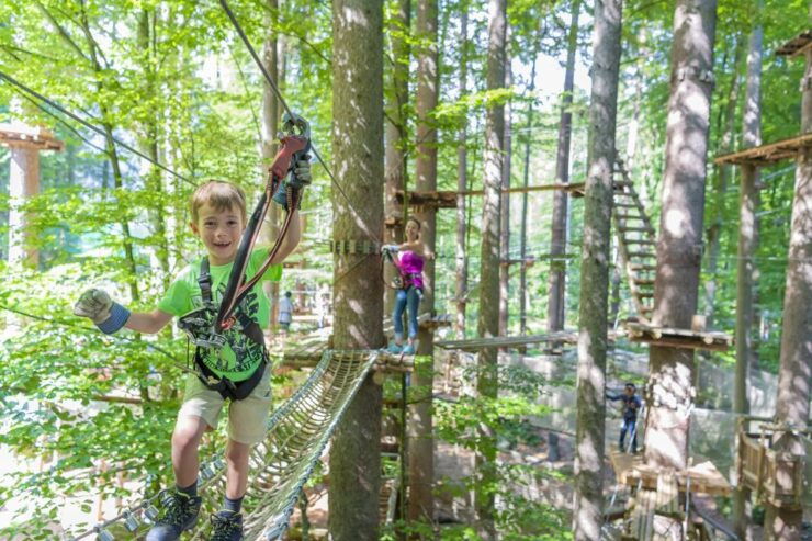 Rope Park Interlaken: Climbing Adventure With Entry Ticket - Experience Highlights