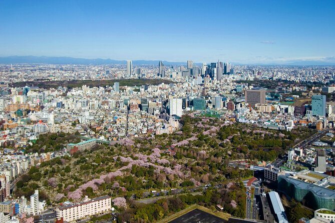 Roppongi Hills Observation Deck Admission Ticket - The Sum Up