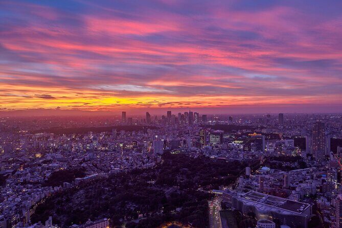 Roppongi Hills Observation Deck Admission Ticket - Practical Tips for Visiting