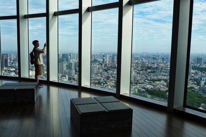 Roppongi Hills Tokyo City View Observatory Deck Ticket - Who Would Love This Experience?