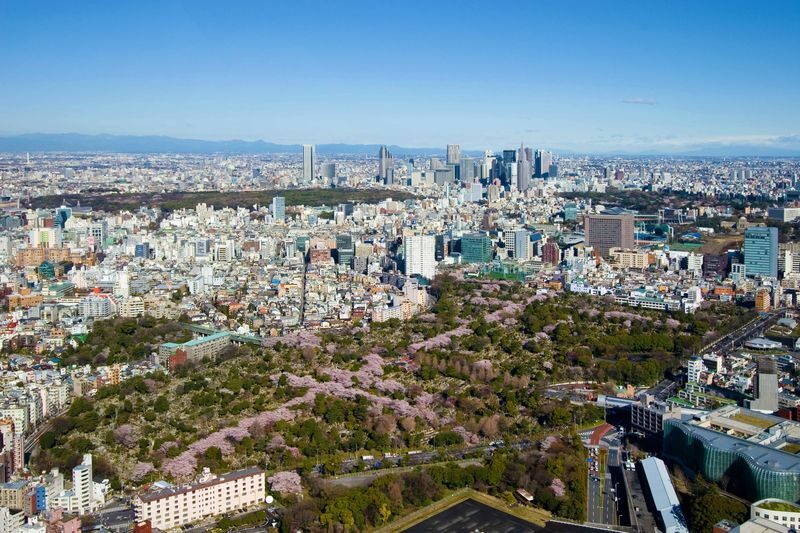 Roppongi Hills Tokyo City View Observatory Deck Ticket - Who will enjoy this stop most
