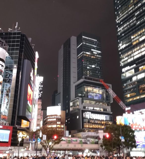 Roppongi Night Drinking Tour - Highlights
