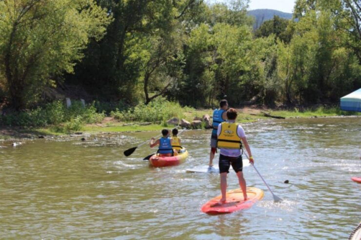 Roquebrune-sur-Argens: Stand Up Paddle Rental - Highlights of the Experience
