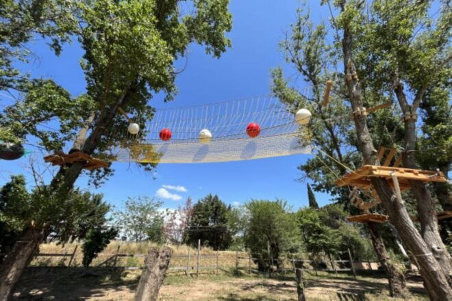 Roquebrune-sur-Argens:Treetop,Giant Zipline & Wall Climbing - Adventure Highlights